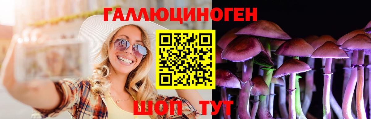 Галлюциногенные грибы мухоморы Большой Камень